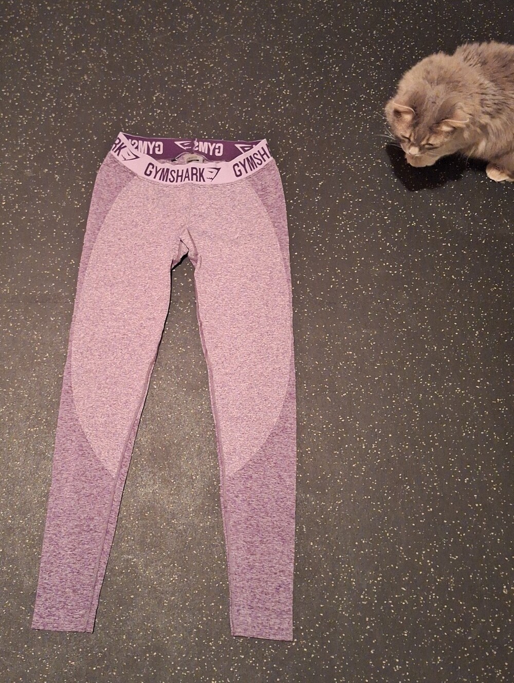Gymshark Workout Leggings - "Dry"